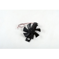 B10020020